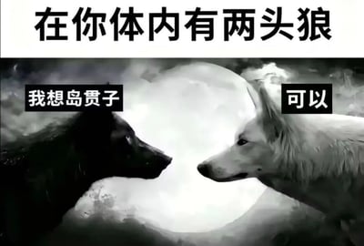 这张梗图采用经典的"体内两头狼"模板，上方文字为"在你体内有两头狼"，下方是黑狼和白狼在满月背景下对峙的画面。黑狼说着"我想岛贯子"，白狼则回应"可以"，形成一种幽默的反差效果。