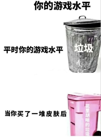 这是一张上下结构的搞笑对比梗图，整体围绕游戏玩家买皮肤前后的游戏水平展开自嘲式调侃。图的最上方标注总标题“你的游戏水平”；上半部分配文“平时你的游戏水平”，对应一个外观破旧的灰色垃圾桶，桶身标注文字“垃圾”，以此调侃玩家平时的游戏水平较差；下半部分配文“当你买了一堆皮肤后”，对应一个外观精致的粉色新垃圾桶，桶身标注“花里胡哨的垃圾”，意思是玩家购买皮肤后只是让自己的“游戏水平”看起来更花哨，但实际水平并没有提升，依旧很差，用垃圾桶的外观变化来幽默地讽刺游戏消费与游戏技术不匹配的普遍现象，引发游戏玩家的共鸣。