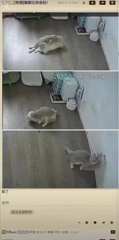 三张监控截图拼接而成的图片，展示了一只猫在房间内的不同活动状态。第一张图中猫仰卧在地板上，第二张图中猫蹲坐在地板上，第三张图中猫靠近墙角。图片上方有文字'有图猫都比你会玩!'，底部有评论'酸了'。