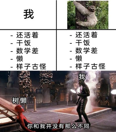 这是一张搞笑合成梗图，整体分为上下两个部分。上半部分采用分栏对比的形式，左侧标注“我”，右侧搭配树懒的野生动物图片，两侧列出了完全一致的五个特征：还活着、干饭、数学差、懒、样子古怪，以此调侃自己和树懒在生活状态与特质上高度相似；下半部分截取了托比·马奎尔版《蜘蛛侠》电影中绿魔与蜘蛛侠在屋顶对峙的经典场景，将绿魔标注为“我”，蜘蛛侠标注为“树懒”，并配文“你和我并没有那么不同”，呼应上半部分的特征对比，用知名影视名场面强化自我调侃的搞笑效果，通过夸张的绑定关系吐槽自身的生活状态与特质。