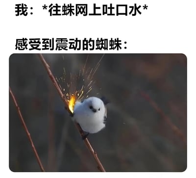 这张梗图上方有两行文字，第一行写着“我：*往蛛网上吐口水*”，第二行写着“感受到震动的蜘蛛：”。图片主体是一只白色的小鸟站在树枝上，它的爪子接触树枝的地方有明显的火花效果，仿佛在用力抓挠树枝产生了电火花。图片通过将小鸟抓树枝产生火花的场景与文字结合，幽默地表现了蜘蛛感受到蛛网震动后可能产生的激烈反应，用夸张的视觉效果制造笑点。