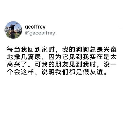 这是一张X（原Twitter）平台的用户发文截图，用户geoffrey的头像是一张真人合照，一人将另一人扛在肩头，被扛者双臂张开。正文部分用户以自己的狗狗见到自己会兴奋到漏尿的行为为参照，调侃自己的朋友见到自己时不会有这样的反应，从而玩笑式地判定自己和朋友之间是假友谊，用错位的、不符合人类逻辑的对比，制造出幽默搞笑的吐槽效果，风格轻松诙谐。