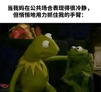 图片上方配有文字“当我妈在公共场合表现得很冷静，但悄悄地用力抓住我的手臂：”，下方是《布偶秀》中的两个绿色青蛙布偶场景。左侧科米蛙表情平静，正用手臂用力抓住右侧青蛙角色，右侧青蛙则显得有些紧张，生动形象地展现了妈妈在公共场合维持冷静外表的同时，通过肢体动作表达紧张或保护欲的真实场景。