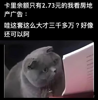 图片上半部分为黑色背景白色文字：“卡里余额只有2.73元的我看房地产广告：哇这套这么大才三千多万？好像还可以阿”。下半部分是一只灰色猫咪正专注地看着前方的粉色物体（疑似手机屏幕），表情平静中带着一丝认真。通过极低的账户余额（2.73元）与对三千多万房产的“轻松”评价形成强烈反差，制造出荒诞又自嘲的幽默效果，反映了普通人面对高额消费时的无奈与自我调侃心态。