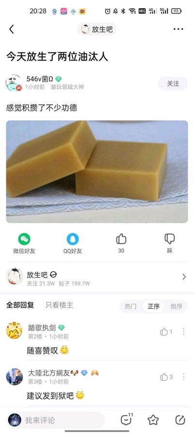 这是百度贴吧“放生吧”内的一则黑色幽默玩梗帖子，用户“546v菌Ω”发布标题为“今天放生了两位油汰人”的内容，搭配文字“感觉积攒了不少功德”和两块黄色肥皂的图片，利用“油汰人”谐音“犹太人”的梗，结合相关历史背景创作搞笑内容。帖子下方有两条互动评论，用户“踏歌执剑”以“随喜赞叹😌”配合玩梗，用户“大陸北方網友”则回复“建议发到狱吧😏”，进一步玩梗互动，整体是典型的贴吧网友利用谐音与历史相关元素创作的搞笑内容，充满网络社区的玩梗氛围。
