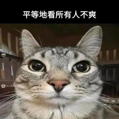 这是一张经过P图改编的搞笑猫咪表情包，主体是一只狸花猫，它的眼睛被刻意放大，直视镜头的眼神看起来充满不满与嫌弃。图片上方配有文字“平等地看所有人不爽”，精准地将猫咪的表情与烦躁、看不惯一切的情绪绑定，能够很好地用来表达人们日常中对周遭事物感到厌烦、不爽的心情，是适合在社交场景中宣泄负面情绪的素材。图片左下角带有水印“@人类嘴替发言”，标注了该表情包的发布账号。