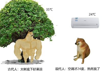 这是一张左右对比的搞笑梗图，左半部分展示35℃的户外高温环境，合成了一个拥有肌肉人形身体、柴犬头部、大树作为背景的形象，配文“古代人：大树底下好乘凉”，表现古代没有空调时人们能在户外高温下依靠大树乘凉适应高温；右半部分展示24℃的室内空调环境，正常体型的柴犬流着眼泪委屈地坐在空调下方，配文“现代人：空调才24度，热死我了”，吐槽现代现代人长期依赖空调，耐热能力大幅下降，即便24度的空调房还觉得热，通过强烈反差形成笑点，调侃当代人的耐热现状。