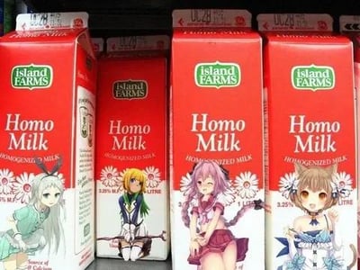 图片展示了多个红色的Island Farms牛奶盒，产品名称为“Homo Milk”（均质牛奶），每个牛奶盒上都印有不同风格的动漫美少女角色。角色们具有典型二次元特征：银白色长发配兽耳、绿色短发手持法杖、紫色长发猫耳娘、棕色短发兽耳娘等，表情和姿态各异，充满萌系风格。牛奶盒上还保留了原始产品信息，包括“Homogenized Milk”“2% M.F. 1 Litre”等英文文字。整体呈现出将日常牛奶包装与二次元文化结合的创意设计效果。