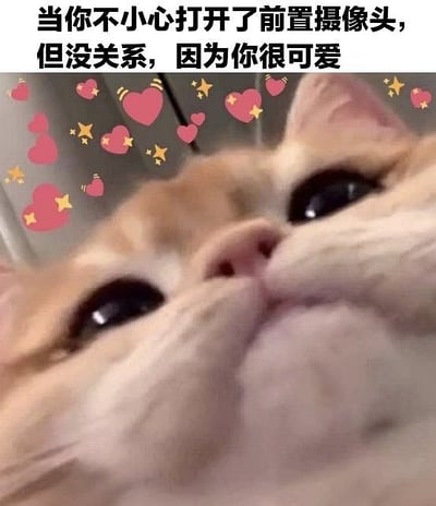 这张图是一只可爱的猫咪被相机从下往上拍摄，脸部特写略显呆萌，背景添加了许多爱心和星星的卡通元素，上方配有文字：“当你不小心打开了前置摄像头，但没关系，因为你很可爱”。整体表达了即使以不完美角度展示自己，也依然自信可爱，画风十分治愈和可爱，常用于夸赞他人外表、鼓励自信，或用于自嘲型表达。没有双关、谐音梗或暗示。