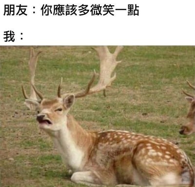 图片上方文字为朋友说“你應該多微笑一點”，下方“我：”对应一张鹿躺在草地上的照片。鹿张着嘴，表情看起来像是在勉强或尴尬地“微笑”，用动物的自然表情幽默地表达了被要求微笑时的无奈和真实反应。