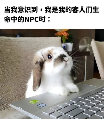 图片上方配有文字'当我意识到，我是我的客人们生命中的NPC时：'，下方是一只棕白相间的垂耳兔趴在银色笔记本电脑键盘上，前爪搭在键盘边缘，耳朵下垂，眼睛圆睁向上看，表情显得好奇又无辜。整体通过文字与动物形象的结合，用游戏术语'NPC'（非玩家角色）比喻自己在他人生命中可能只是次要角色，带有自嘲式的幽默和对人际关系的轻松感悟。