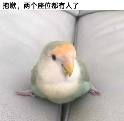 这是一张充满治愈感的萌宠梗图，主体是一只牡丹鹦鹉，它将两只爪子分别搭在相邻的两个沙发座位上，身体卡在座位的缝隙中，歪着脑袋看向镜头，模样憨态可掬。图片顶部配有拟人化的文字“抱歉，两个座位都有人了”，通过将小鹦鹉的姿势赋予人类的行为逻辑，制造出搞笑又可爱的效果，常用于以委婉萌趣的方式表达座位已被占满，适合用来调侃占座行为，或是拒绝他人的座位请求，在社交场景中能轻松引发共鸣，传递轻松愉快的氛围。