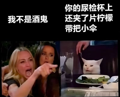 图片分为左右两部分，左侧是一位金发女性表情愤怒地手指前方，旁边配文“我不是酒鬼”；右侧是一只表情严肃的白猫，背景中有一个疑似尿检杯的容器，杯口夹着柠檬片和小伞，配文“你的尿检杯上还夹了片柠檬带把小伞”。通过将尿检杯装饰成鸡尾酒的搞笑对比，讽刺了“否认酗酒却行为暴露”的矛盾场景，充满幽默调侃意味。
