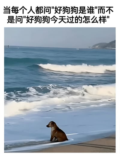 图片上方配有文字“当每个人都问'好狗狗是谁'而不是问'好狗狗今天过的怎么样'”，下方是一张真实照片：一只棕色的狗狗独自坐在沙滩上，面朝大海，海浪正缓缓涌上沙滩。狗狗的姿态显得有些落寞，与上方文字形成呼应，表达了一种希望人们更关注宠物当下状态而非仅给予标签化称呼的情感。