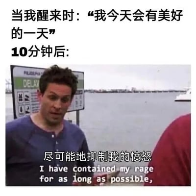 图片上半部分文字描述了“当我醒来时：‘我今天会有美好的一天’”，展现了刚起床时的乐观心态；下半部分为10分钟后的场景，配有一张真人男性的照片，他站在水边，背景有标有“DELAY”字样的指示牌，人物下方文字为“尽可能地抑制我的愤怒”及英文翻译“I have contained my rage for as long as possible,”。通过前后情绪的强烈对比，幽默地呈现了日常中乐观迅速转为愤怒压抑的搞笑情景。