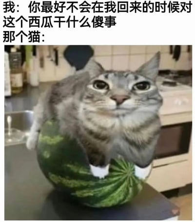 图片上半部分为文字：“我: 你最好不会在我回来的时候对这个西瓜干什么傻事 那个猫:”，下半部分是一只灰色虎斑猫趴在一个完整的绿色西瓜上，背景是厨房环境。猫咪睁着大眼睛，表情看似无辜，与文字形成幽默对比，展现了主人离开前警告猫咪不要捣乱，而猫咪却“明知故犯”趴在西瓜上的搞笑场景。