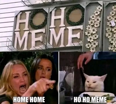 图片由三部分组成：顶部是装饰性招牌，字母为'HO HO MEME'，其中两个'O'被绿色花环替代，右侧有白色花朵装饰。底部左侧是两位女性，金发女性手指指向对方，表情惊讶，下方文字'HOME HOME'；底部右侧是一只表情不悦的白猫，一只手正伸向它，下方文字'HO HO MEME'。整体通过招牌和文字的相似性制造拼写混淆的幽默效果。