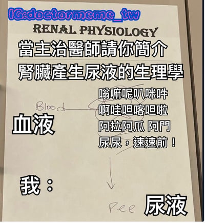 这是一张幽默医学梗图，模拟了医学生或年轻医生被主治医生要求解释肾脏产生尿液的生理学时的窘迫场景。图片主体是一张写有“RENAL PHYSIOLOGY”标题的纸张，上方有中文大字“當主治醫師請你簡介腎臟產生尿液的生理學”。中间用简单线条连接“血液”（标注“Blood”）和“尿液”（标注“Pee”），线条旁是一连串无意义的谐音或乱码文字“嗡嘛呢叭咪吽 啊哇但喀吧啦 阿拉阿瓜 阿門 尿尿，速速前！”，下方标注“我：”，形象地表现了面对专业提问时大脑一片空白、只能胡言乱语的状态。