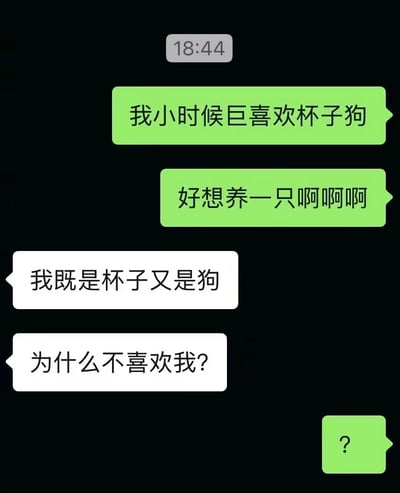 这是一张竖版的手机端聊天界面截图，背景为黑色，绿色气泡为消息发送方，白色气泡为消息接收方。发送方先表示自己小时候非常喜欢杯子狗，十分想要饲养一只；接收方随即玩梗回应称“我既是杯子又是狗”，还质问对方为什么不喜欢自己，最后发送方回复一个问号，表现出对接收方玩梗的疑惑不解，整体内容幽默搞笑。