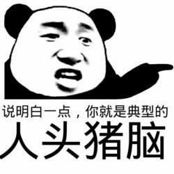 熊猫头表情包：说明白一点你就是人头猪脑