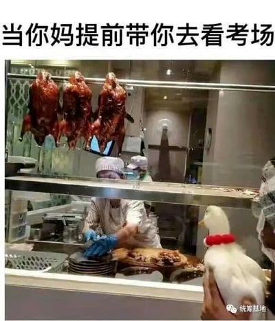 这是一张用于调侃考试的合成搞笑梗图，图上方配有文字“当你妈提前带你去看考场”。画面展示了烤鸭店的操作窗口场景：窗口内挂着三只已经烤好的烤鸭，一位戴着帽子和手套的厨师正专注地在操作台上切肉；窗口外有一只被人抱着的活鸭子，正看向窗口内的烤鸭。这张图用比喻的方式，将即将参加考试的考生比作这只活鸭子，把考场比作烤鸭店，提前看考场就如同鸭子直面自己即将被“加工”的地方，夸张地表现出考生面对考试时的焦虑与无奈，营造出荒诞又搞笑的氛围，容易引发考生群体的共鸣。