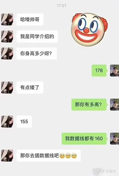 这是一张竖屏微信相亲聊天记录截图，女生通过同学介绍添加男生后，率先询问男生身高，男生回复178cm，女生却直言“有点矮了”；男生反问女生身高，女生表示自己155cm，男生随即吐槽“我数据线都有160”来讽刺女生的双标，女生回怼“那你去插数据线吧”，对话充满互怼的搞笑感，用夸张的吐槽戳破相亲中对身高的不合理双标要求。
