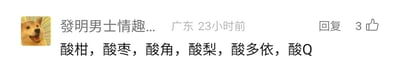 这是一张来自国内社交媒体平台的用户评论截图，评论者的头像是知名的Doge柴犬搞怪表情包，昵称显示为“發明男士情趣...”，地址标注为广东，发布时间为23小时前，该评论收获了3个点赞。评论内容依次罗列了酸柑、酸枣、酸角、酸梨、酸多依这些天然带有酸味的食材，最后以“酸Q”收尾，这里运用了谐音梗，“酸Q”谐音网络流行语“栓Q”，原本“栓Q”常用来表达无奈、调侃或道谢的情绪，此处结合前面的酸味食材罗列，用“酸Q”来趣味呼应，增添了评论的趣味性和网感。