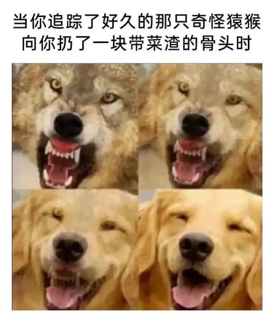 这是一张四格拼接的静态图文梗图，上方配有文案“当你追踪了好久的那只奇怪猿猴向你扔了一块带菜渣的骨头时”。四格画面依次展示了面露凶相、张嘴露齿的狼，逐渐过渡到愤怒感减弱的犬类，再到半眯眼露笑的金毛，最后是满脸愉悦满足的金毛，通过动物表情的逐步变化，生动且幽默地表现出原本带着敌意、愤怒的心态，在获得投喂后瞬间转变为满足、愉悦的反差感，用拟人化的方式调侃人在利益（食物）面前态度的快速反转，充满戏谑趣味。