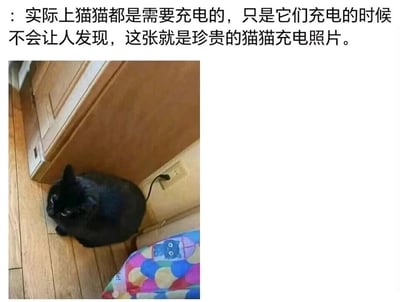 这是一张充满趣味脑洞的宠物梗图，上方配有文字：“实际上猫猫都是需要充电的，只是它们充电的时候不会让人发现，这张就是珍贵的猫猫充电照片。” 图片主体是一只黑色猫咪，它蹲坐在室内木质地板上，尾巴恰好与旁边插座里的插头位置重合，形成了猫咪尾巴像插头一样插在插座上“充电”的视觉错位效果。图中还能看到旁边的木质柜子和带有卡通猫咪图案的布料。这张图利用巧合的视觉错位，结合拟人化的搞笑脑洞，把猫咪日常蹲坐的场景赋予了“充电”的趣味解读，精准契合养猫人群对猫咪时而活泼、时而慵懒状态的调侃，充满治愈感和趣味性，容易引发宠物爱好者的共鸣。
