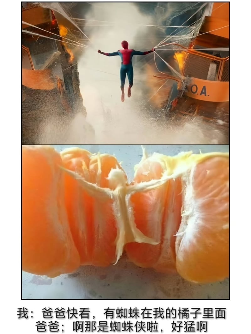 蜘蛛侠