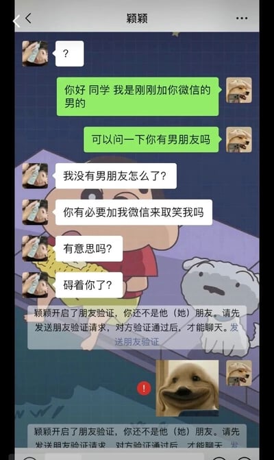 这是一张微信聊天记录的竖屏截图，背景是卡通动画《蜡笔小新》的画面。加好友的男生先向女生颖颖自报身份，随后询问对方是否有男朋友，颖颖却误解男生是来取笑自己没有男友，情绪激动地连续质问“我没有男朋友怎么了？”“你有必要加我微信来取笑我吗”等内容，之后直接拉黑了男生。男生后续发送消息时，界面多次弹出“颖颖开启了朋友验证”的系统提示，男生发送的委屈狗狗表情包更凸显出这一社交场景的尴尬与搞笑，整体是日常社交中因误解引发的尴尬趣事记录。