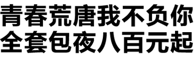 图片为纯文字内容，包含上下两行形成强烈反差的文字。上行文字为文艺风格的'青春荒唐我不负你'，下行则为直白的商业服务信息'全套包夜八百元起'，通过内容与风格的巨大差异制造幽默或讽刺效果。