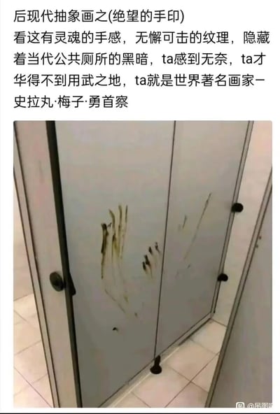 这是一张充满黑色幽默的吐槽类图片，拍摄对象是公共厕所的隔间门板，门板上的深色污渍手印被网友戏谑地包装成“后现代抽象画《绝望的手印》”，还虚构了名为史拉丸·梅子·勇首察的“世界著名画家”，用模仿艺术评论的夸张文字，吐槽公共厕所里的不整洁状况，将尴尬的场景转化为搞笑的梗，反差感拉满。