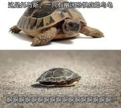 这是一张上下拼接的对比式搞笑梗图，上图展示了一只名为托马斯的乌龟，配文介绍它是一只有幽闭恐惧症的乌龟，此时托马斯的四肢和头部都伸出龟壳外；下图则是托马斯将整个身体完全缩进龟壳的状态，配文是一连串的“啊啊啊”尖叫，模拟托马斯因为幽闭恐惧症，在不得不缩进龟壳这个封闭空间时的崩溃情绪。图片利用乌龟缩进壳的生理特性和它的幽闭恐惧症形成强烈反差，制造出荒诞搞笑的效果，用来夸张地表现人们陷入无法避免的恐惧场景时的崩溃状态。