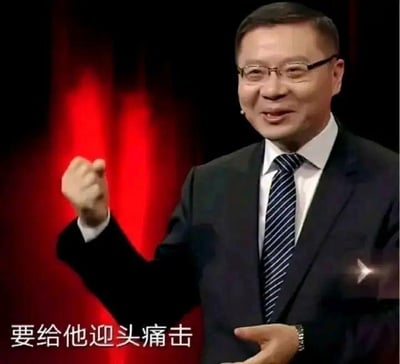 这是一张由节目截图制作而成的梗图，图中人物为学者张维为，他身着深色西装搭配白衬衫与条纹领带，戴着眼镜，面带自信的笑意，一只手握拳抬起，另一只手摊开，呈现出演讲时的姿态。图片底部配有文字‘要给他迎头痛击’，结合人物的神态与动作，该表情包常被用于网络语境中，表达要强势回击对手、坚决驳斥不同观点的强硬立场，情绪态度鲜明。