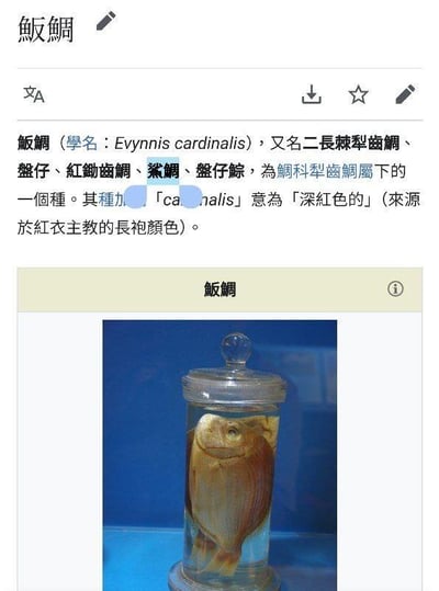 图片为一份关于鱼类“飯鯛”的资料截图，包含文字介绍与标本图片。上方文字部分详细说明了飯鯛的学名（Eynnis cardinalis）、别名（如二長棘犁齒鯛、盤仔、紅鋤齒鯛等）、所属科属，并解释其种加词“cardinalis”意为“深红色的”，来源与红衣主教长袍颜色相关。文字中有部分内容被蓝色色块遮盖。下方配有一张飯鯛的标本照片，鱼体被浸泡在透明玻璃罐中，罐口有玻璃盖，图片上方标注“飯鯛”字样。整体为图文混排的文档页面，顶部有编辑工具图标（如铅笔、下载、收藏等）。