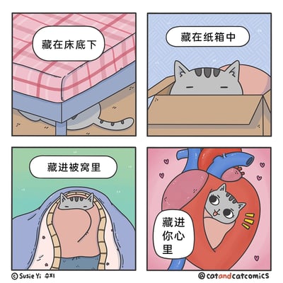 这是一组四格治愈系卡通漫画，主角是一只灰色带深色斑纹的猫咪：第一格中猫咪躲在床底下，仅露出部分身体和尾巴；第二格猫咪窝在纸箱里，只露出脑袋，表情慵懒；第三格猫咪藏在被窝中，露出小脑袋；第四格是漫画的暖心升华，猫咪藏在拟人化的人类心脏里，配文“藏进你心里”，画面点缀粉色爱心，猫咪表情俏皮可爱，吐着舌头，整体通过猫咪的躲藏行为递进，用浪漫的创意表达出温馨的情感，风格软萌治愈。