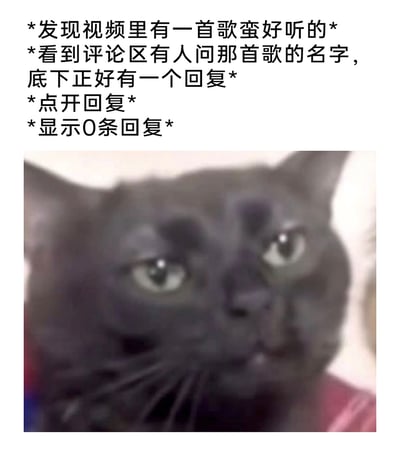 这是一张图文结合的表情包，上方用带星号的分段文字描述了网友在网络冲浪时遇到的糟心经历：在视频中听到一首好听的歌，看到评论区有人询问该歌曲的名字，且这条评论下方显示有一条回复，满心期待地点开后却发现回复数量为0，期待瞬间落空。下方搭配了一张眼神幽怨、满脸无奈的黑猫图片，精准将这种期待落空后的无语、憋屈又失望的情绪具象化，极易引发有类似经历的网友共鸣。