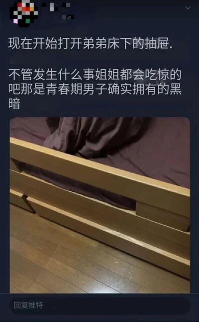 这是一张推特（现X平台）的推文截图，上方的配文以夸张的语气引导读者，称打开弟弟床下的抽屉会看到“青春期男子确实拥有的黑暗”，营造出一种会发现令人吃惊的隐秘秘密的氛围；下方的图片展示了床的下方区域，能看到疑似有人躲藏在那里。这里的“黑暗”是一种反差式的调侃，并非真正的负面内容，只是用夸张的说法指代青春期男孩想要拥有私密空间、躲起来做自己的事的小举动，通过预期与现实的反差制造出幽默的效果，调侃了青春期孩子的小秘密。