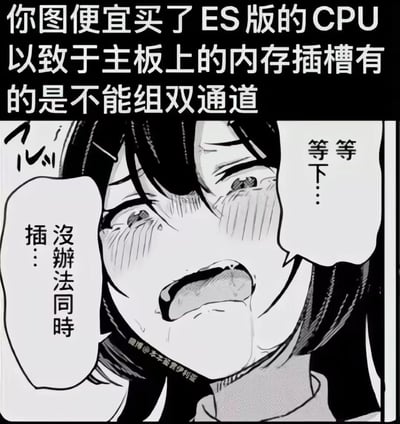 这是一张结合数码硬件知识的谐音梗改编图，整体为黑白风格：顶部用黑底白字标注了数码圈的常见冷知识，用户如果贪图便宜购买ES版（工程测试版）CPU，可能会遇到主板部分内存插槽无法组成双通道的问题；下方搭配了一张表情羞耻窘迫的动漫女性角色截图，角色的对白“等等下…没办法同时插…”是双关语，表面指内存无法同时插入对应插槽组建双通道，实际暗含低俗性暗示，属于面向数码爱好者的玩梗创作。