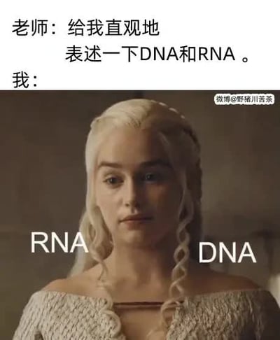 图片上方为文字对话“老师：给我直观地表述一下DNA和RNA。我：”，下方是《权力的游戏》中丹妮莉丝·坦格利安的剧照，其头部两侧的辫子分别被标注“RNA”和“DNA”，通过角色标志性的双辫子形象幽默类比DNA的双螺旋结构与RNA的单链结构，用直观的视觉联想解释生物知识点。