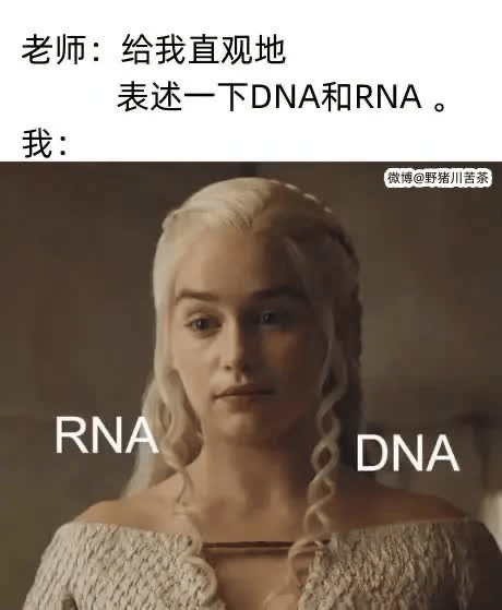丹妮莉丝·坦格利安