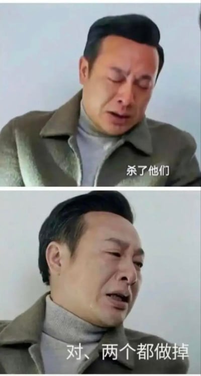 这是一张由两张电视剧《狂飙》截图拼接而成的梗图，上图中高启强闭着眼睛，脸上带着哭腔，配文“杀了他们”；下图里他脸上挂着眼泪，转头侧视，配文“对、两个都做掉”。将狠厉的黑帮台词与崩溃哭泣的脆弱表情结合，形成强烈的反差感，营造出荒诞搞笑的效果，用来表达自己又气又无奈，只能嘴上放狠话的情绪，无谐音梗或双关含义。