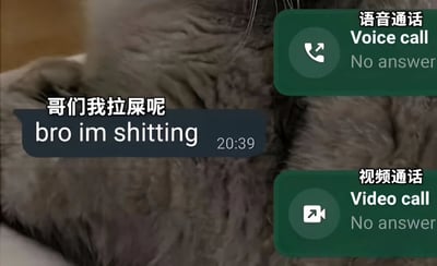 图片主体为一只猫的毛发特写，左侧有一个对话气泡，内容为“哥们我拉屎呢 bro im shitting”，时间显示为20:39。右侧有两个绿色的通话界面元素，分别是“语音通话 Voice call No answer”和“视频通话 Video call No answer”。整体通过猫咪的场景结合拒绝通话的界面，以幽默方式表现某人在不方便时拒绝接听语音和视频通话的情景。