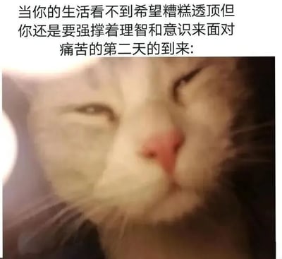 图片上方是一段描述生活困境的文字：'当你的生活看不到希望糟糕透顶但你还是要强撑着理智和意识来面对痛苦的第二天的到来：'，下方是一张特写的猫咪照片。猫咪双眼半眯，眼神中透露出明显的疲惫和无奈，仿佛在生动演绎文字中那种强撑着面对艰难日子的状态，整体氛围带着一种自嘲式的共鸣感。