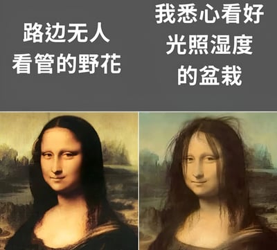 这张梗图采用2x2的网格布局，上半部分是文字对比，下半部分是图像对比。左上文字为'路边无人看管的野花'，对应左下的原版蒙娜丽莎肖像；右上文字为'我悉心看好光照湿度的盆栽'，对应右下经过修改的蒙娜丽莎图像。修改后的蒙娜丽莎头发变得凌乱不堪，形成鲜明对比，暗示精心照料的盆栽反而不如无人看管的野花生长得好，制造出一种反讽的幽默效果。