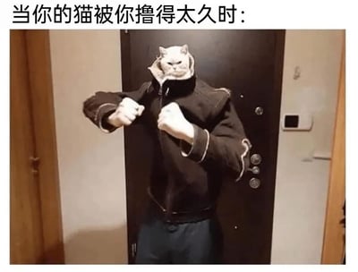 这张梗图通过幽默的方式展示了当猫被长时间抚摸后可能产生的反应。图片上方配有文字"当你的猫被你撸得太久时："，下方是一张经过PS处理的图片，显示一个穿着黑色夹克的人摆出格斗姿势，但头部被替换成了一只表情愤怒的白猫的脸。猫的表情严肃，眼神锐利，与人类的格斗姿势完美结合，形成了一种拟人化的幽默效果，夸张地表现了猫被过度抚摸后的不满情绪。