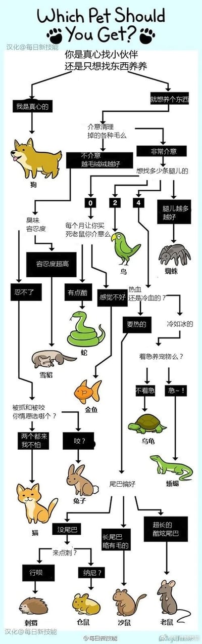 这是一张竖版的趣味养宠选择引导流程图，通过层层递进的选择题分支，帮助用户筛选出适合自己饲养的宠物。流程图以“你是真心找小伙伴还是只想找东西养养”作为初始分岔点：
1. 选择“我是真心的”，直接对应宠物狗；
2. 选择“就想养个东西”，则进入“介意清理掉的各种毛么”的选项分支：
   - 选“非常介意”，进入“想找多少条腿儿的”选项，0条腿对应蛇，2条对应鸟，4条对应蜘蛛；
   - 选“不介意 越毛绒绒越好”，进入“臭味容忍度”和“每个月让你买死老鼠你介意么”的二级分支：
     - 臭味容忍度“忍不了”对应雪貂；“容忍度超高”进入“被抓和被咬你情愿选哪个？”，选“两个都来我不怕”对应猫，选“咬？”对应兔子；
     - “每个月买死老鼠有点酷”对应蛇，“感觉不好”进入“热血还是冷血的？”：
       - 选“冷如冰的”进入“着急养宠物么？”，不着急对应乌龟，着急对应蜥蜴；
       - 选“要热的”进入“被抓和被咬你情愿选哪个？”，后续分支对应金鱼，再延伸出尾巴偏好的小宠选择，包括刺猬、仓鼠、沙鼠、老鼠等。
整个流程图搭配可爱的卡通宠物图标，路径清晰，覆盖了猫狗、异宠、小型宠物等多种类型，通过趣味化的选项设置，让用户轻松完成养宠适配测试。