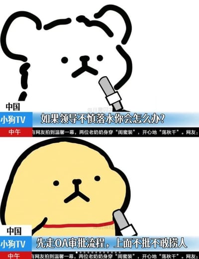 这是一张讽刺职场过度僵化审批流程的搞笑梗图，采用了自嘲熊（国内常称线条小狗）的卡通形象，模拟新闻采访的场景：上半部分白色小狗举着话筒提问“如果领导不慎落水你会怎么办？”，下半部分黄色小狗面无表情给出回答“先走OA审批流程，上面不批不敢捞人”，画面整体模仿新闻频道的播报样式，底部还有模仿滚动新闻的字幕条，用夸张荒谬的回答吐槽部分企业流程繁琐、员工没有自主决策权、凡事都要层层上报审批的畸形职场现状，很容易引发上班族的共鸣。
