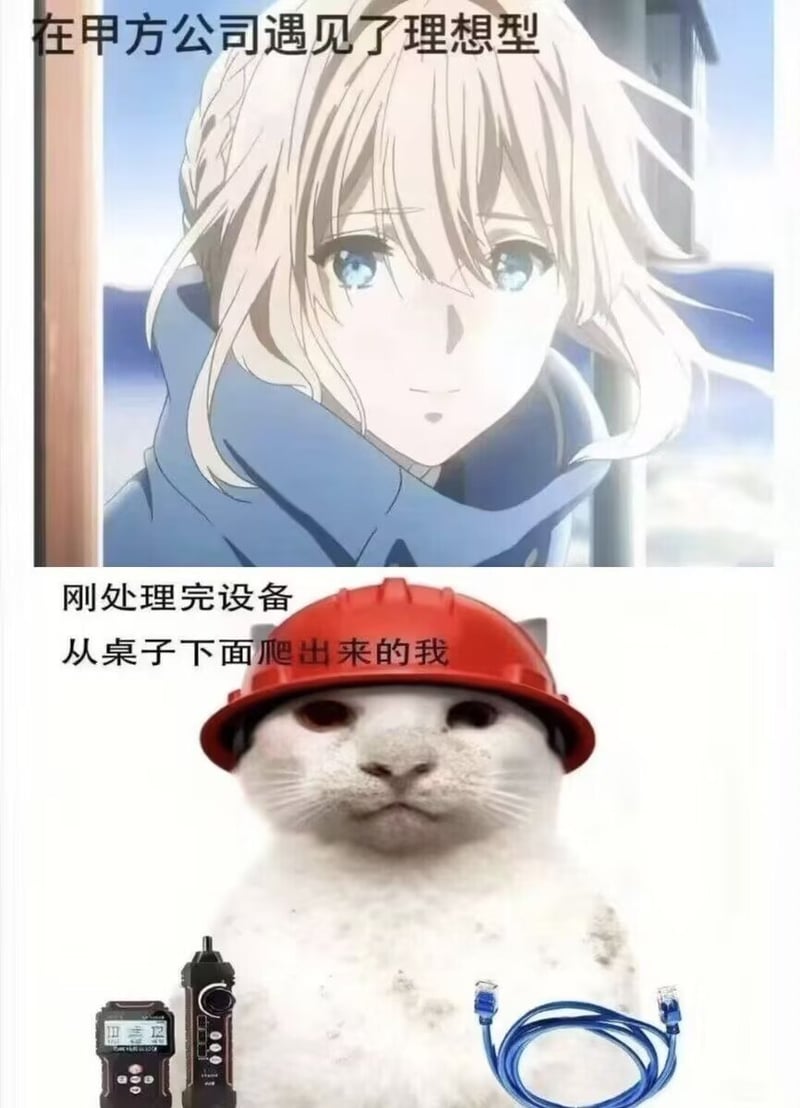 网络搞笑meme